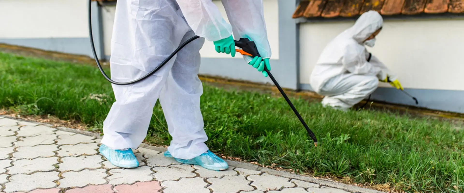 Mice Nest Removal in Scarborough: Safe and Effective Solutions for Lasting Control