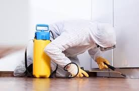 Complete Guide to Pest Control in Scarborough: Effective Solutions for Homes and Businesses