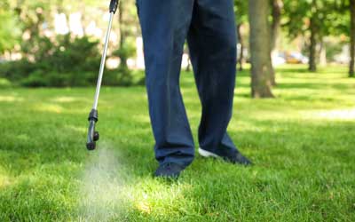 Top Benefits of Hiring Commercial Pest Control Scarborough for Your Business