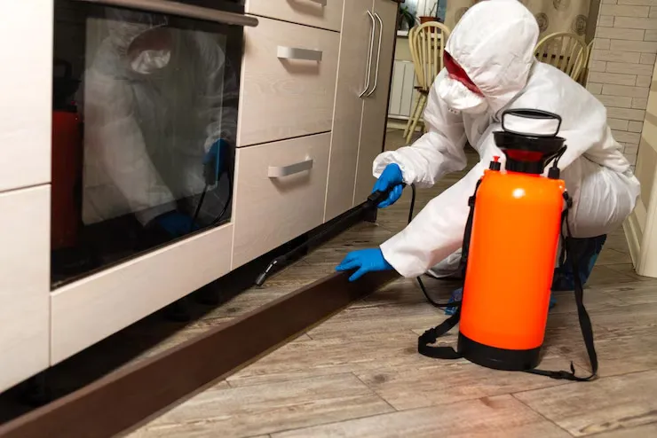 Say Goodbye to Drain Flies! Pest Control Markham