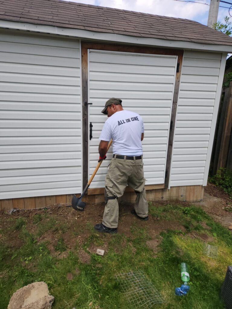 Skunk Removal