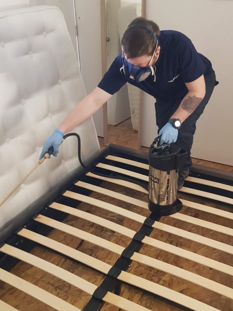 How We Get Rid of Bed Bugs in Toronto Homes : Our 5-Step Treatment Process